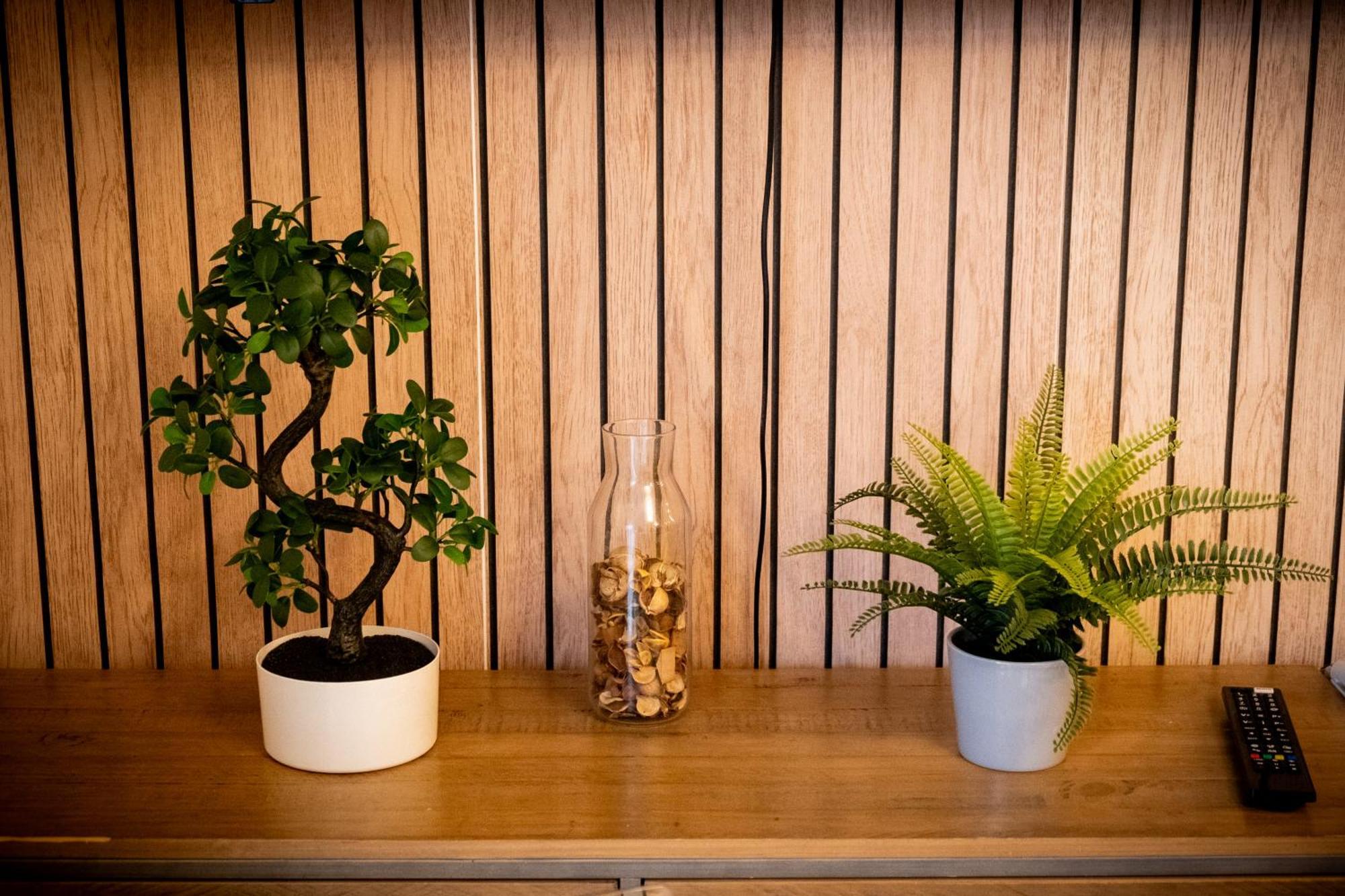 B1 Apartment